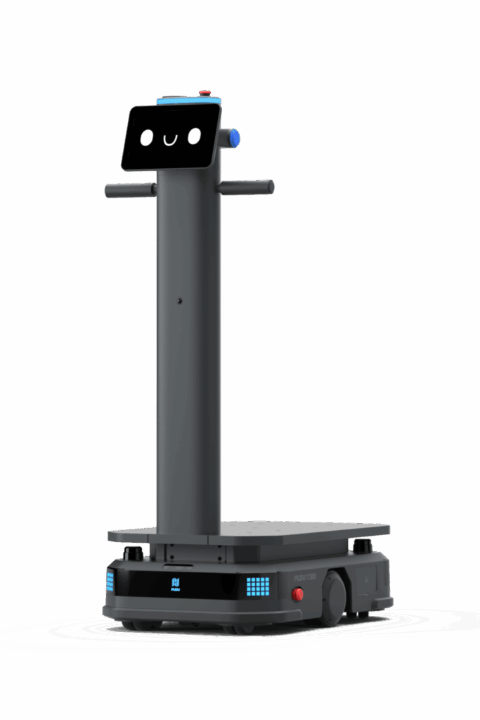 2.2.1.1_T300_Seitenansicht-scaled-e1751986686810 (1)